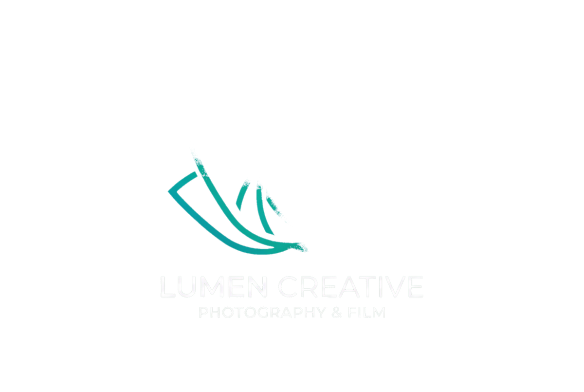 福利导航传媒合作品牌技术服务